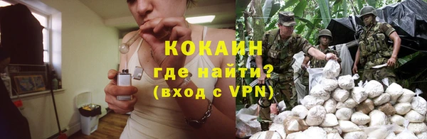 спайс Сосновка