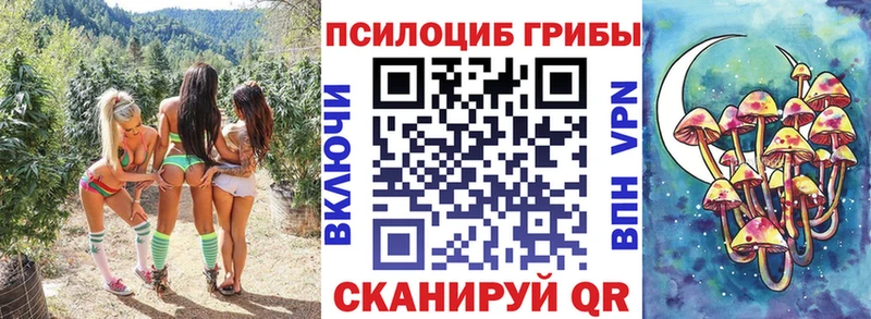 Псилоцибиновые грибы мицелий  blacksprut зеркало  Тулун 
