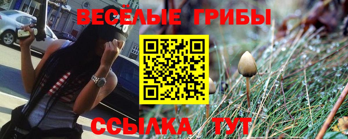 Псилоцибиновые грибы GOLDEN TEACHER Тулун