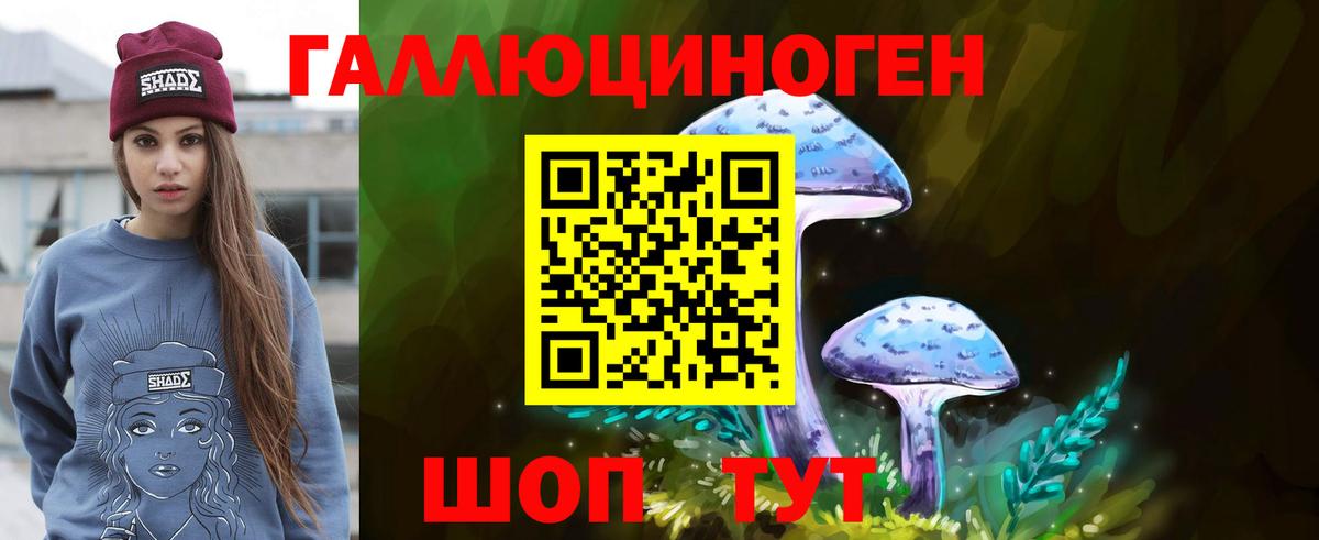 Тулун  Псилоцибиновые грибы Psilocybe  Вход с VPN 